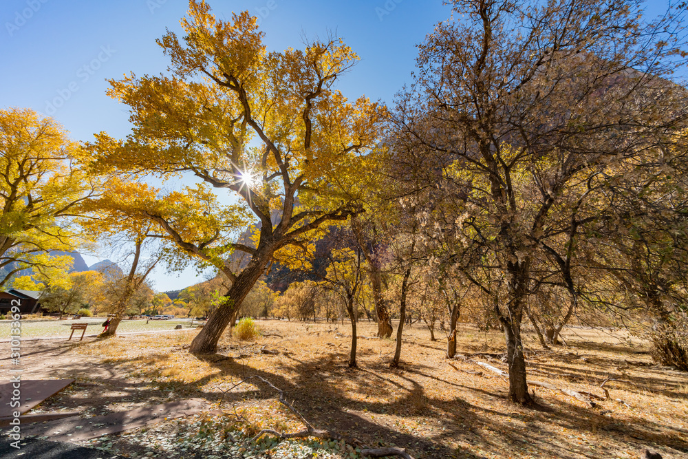 Beautiful autumn landscape around Zion National Park