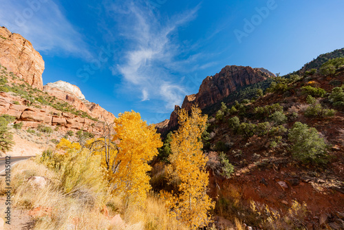 Beautiful autumn landscape around Zion National Park