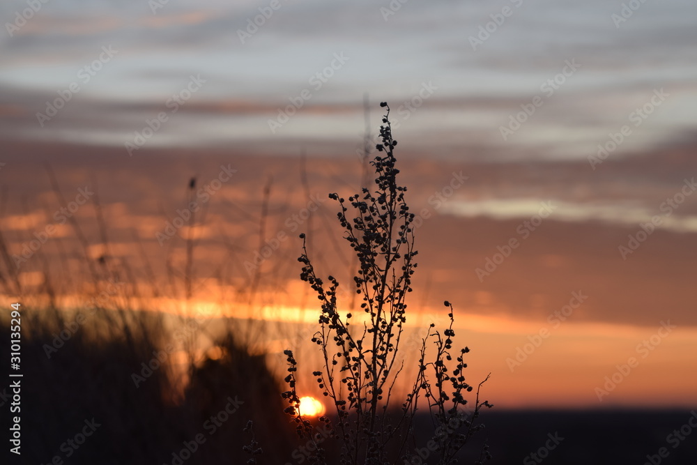 Naklejka premium WSCHÓD SŁOŃCA,