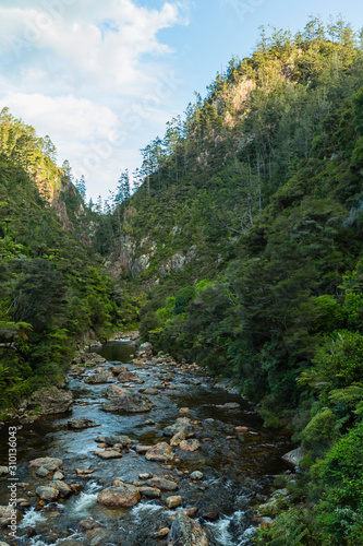 ニュージーランド　コロマンデル近郊のカランガハケ渓谷の風景 © pespiero