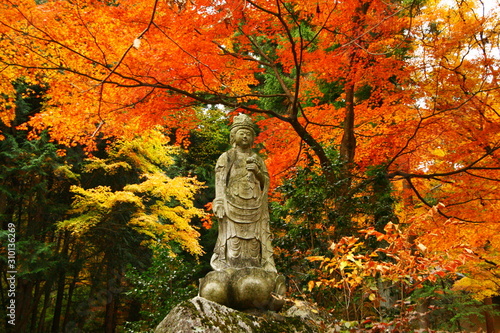 日本の秋 昇仙峡の紅葉