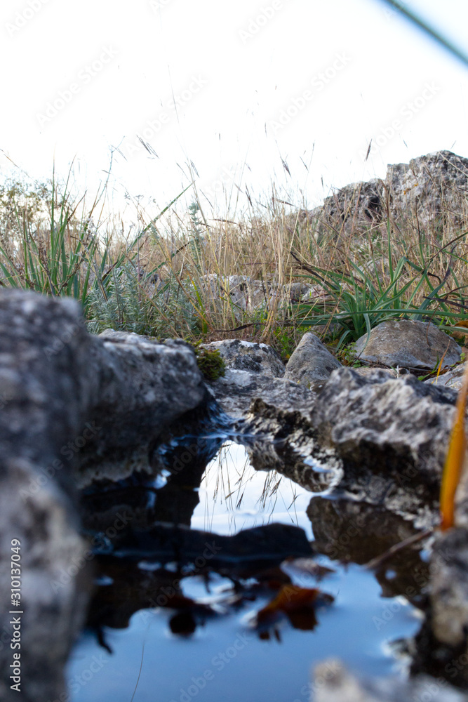 Fototapeta premium Reflections in small gap filled with water. Beauty in small things