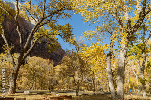 Beautiful autumn landscape around Zion National Park
