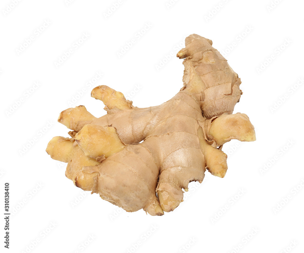 ginger isolated on white background ginger isolated on white background