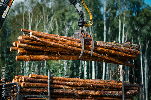 Valokuva Forestry forwarder is loading logs in a pile in forest