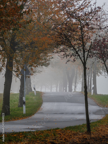 driving through the fog - Fahrt durch den Nebel photo