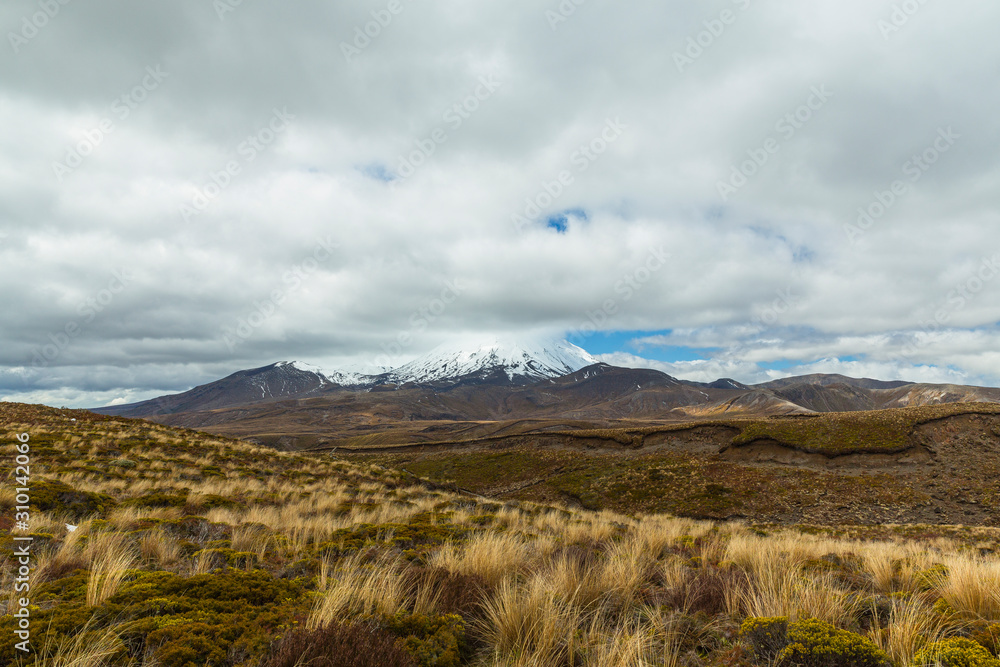 ニュージーランド　トンガリロ国立公園のタマ・レイクス・トラックから見えるナウルホエ山