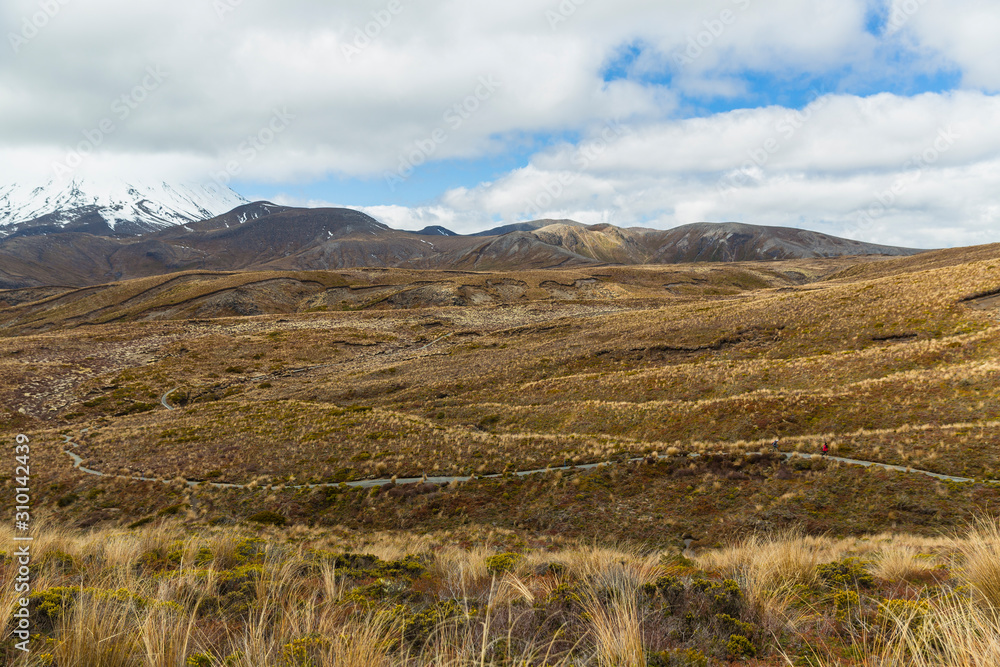 ニュージーランド　トンガリロ国立公園のタマ・レイクス・トラックから見えるナウルホエ山