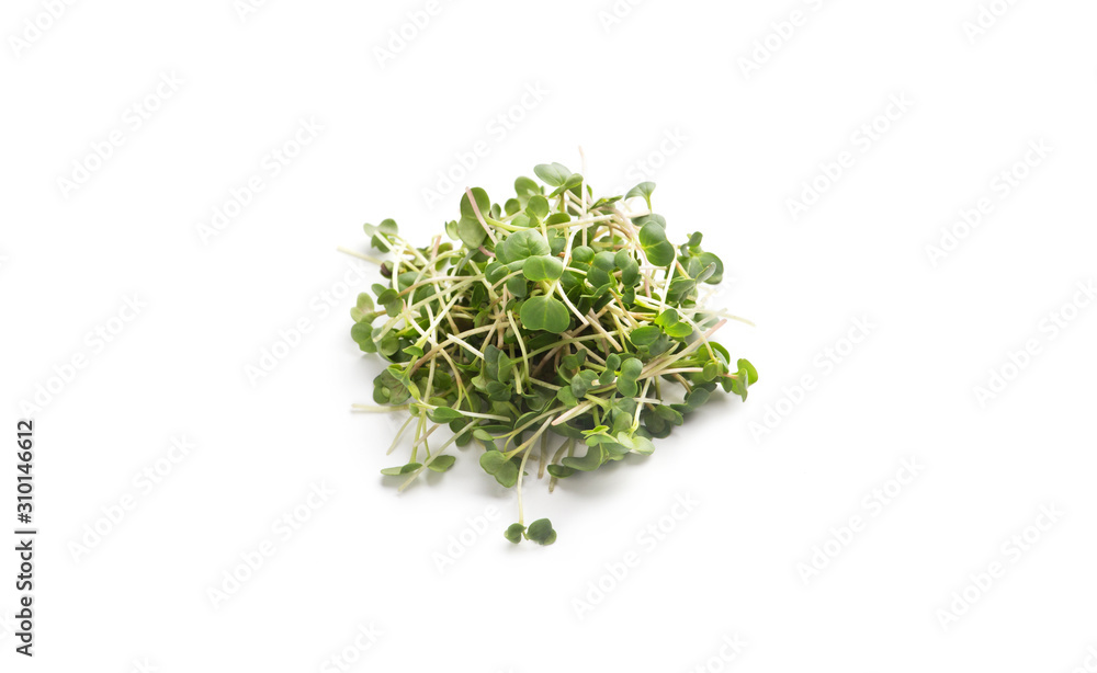 Microgreen eco food isolated on white background Microgreen eco food isolated on white background