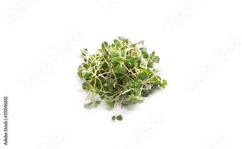 Microgreen eco food isolated on white background