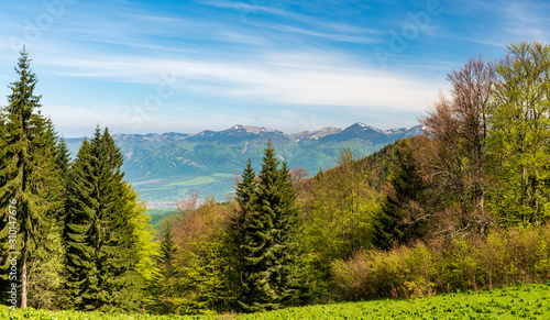 Krivanska Mala Fatra mountain range with highest Velky Krivan hill from Koskarovska luka bellow Klak hill in Velka Fatra mountains in Slovakia photo