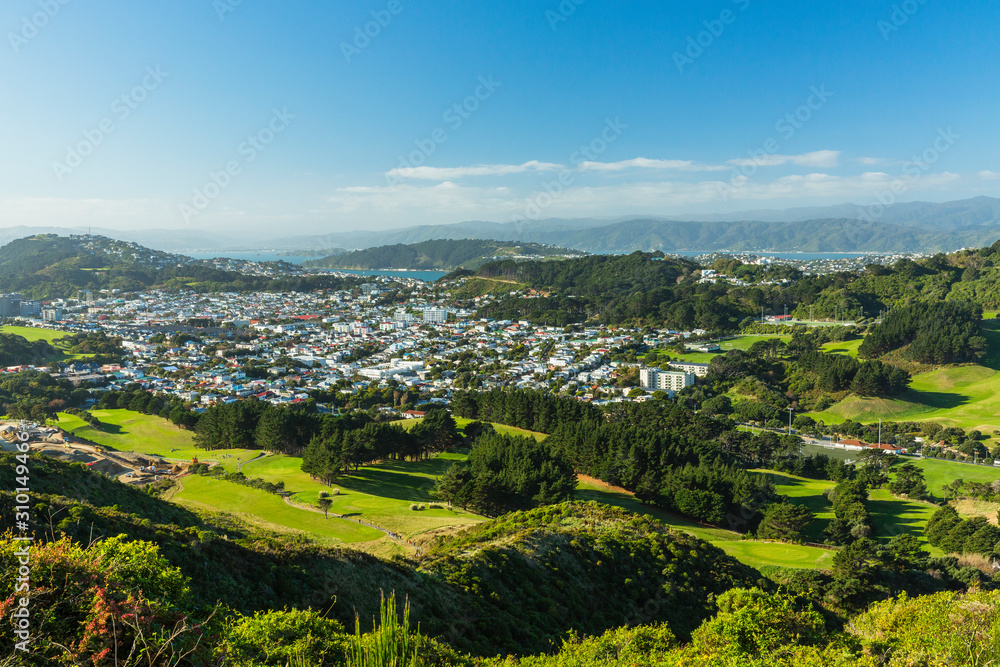 ニュージーランド　ウェリントンのタワタワ保護区からの景色