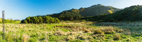 ニュージーランド ウェリントンのタワタワ保護区からの風景