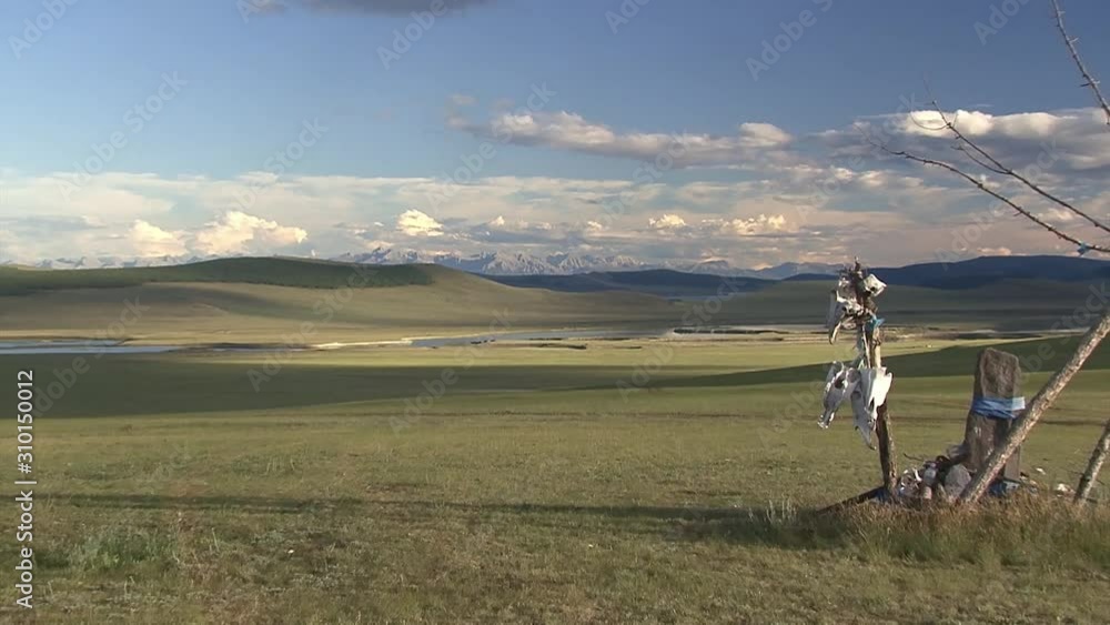 Mongolia, the northern regions of the country. Horses. Mongolia, the northern regions of the country. Horses.