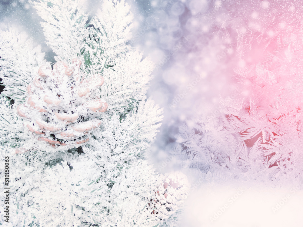winter background with fir branches cones and snow winter background with fir branches cones and snow