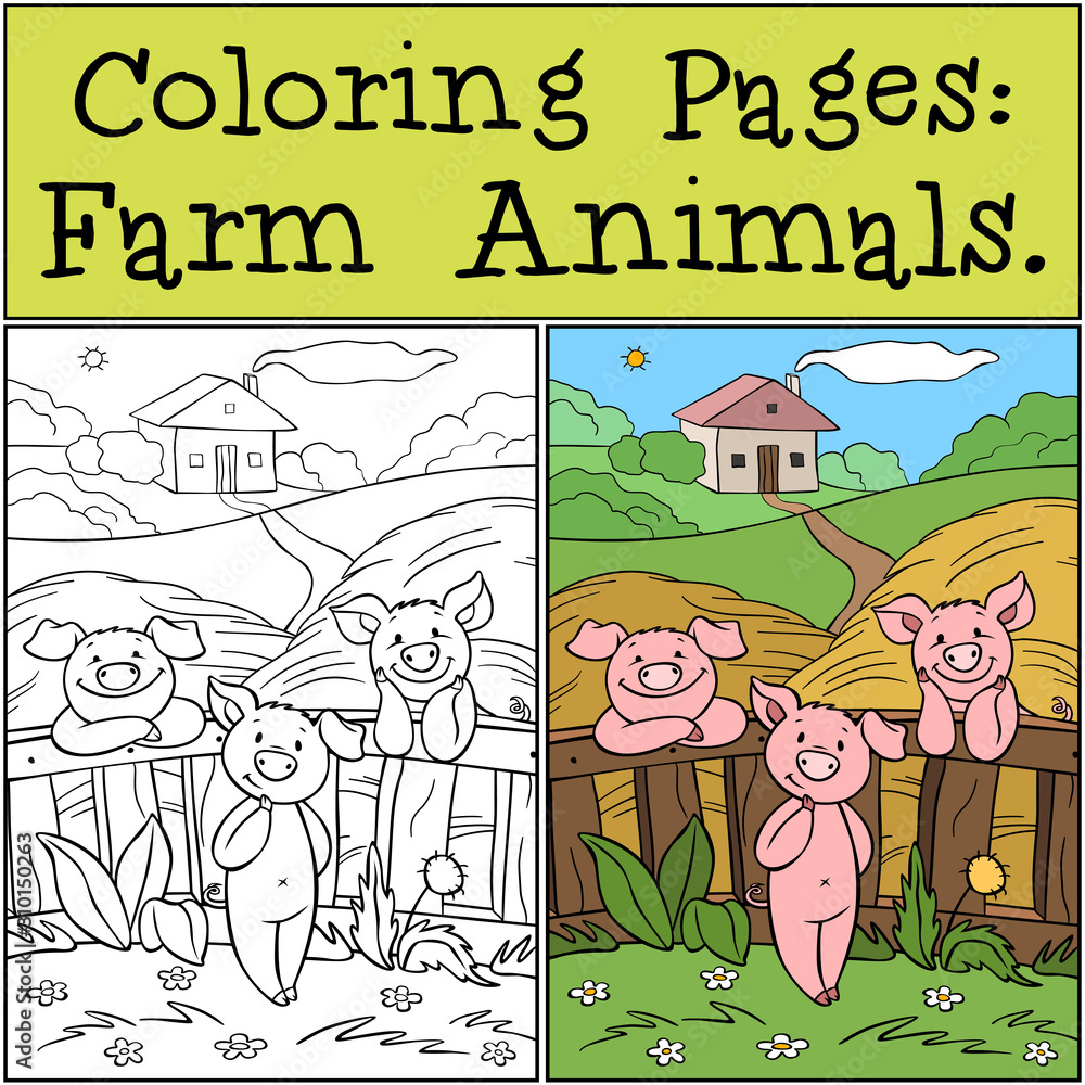 Fototapeta premium Coloring Pages: Farm Animals. Three little cute pigs are near the fence on the farm.
