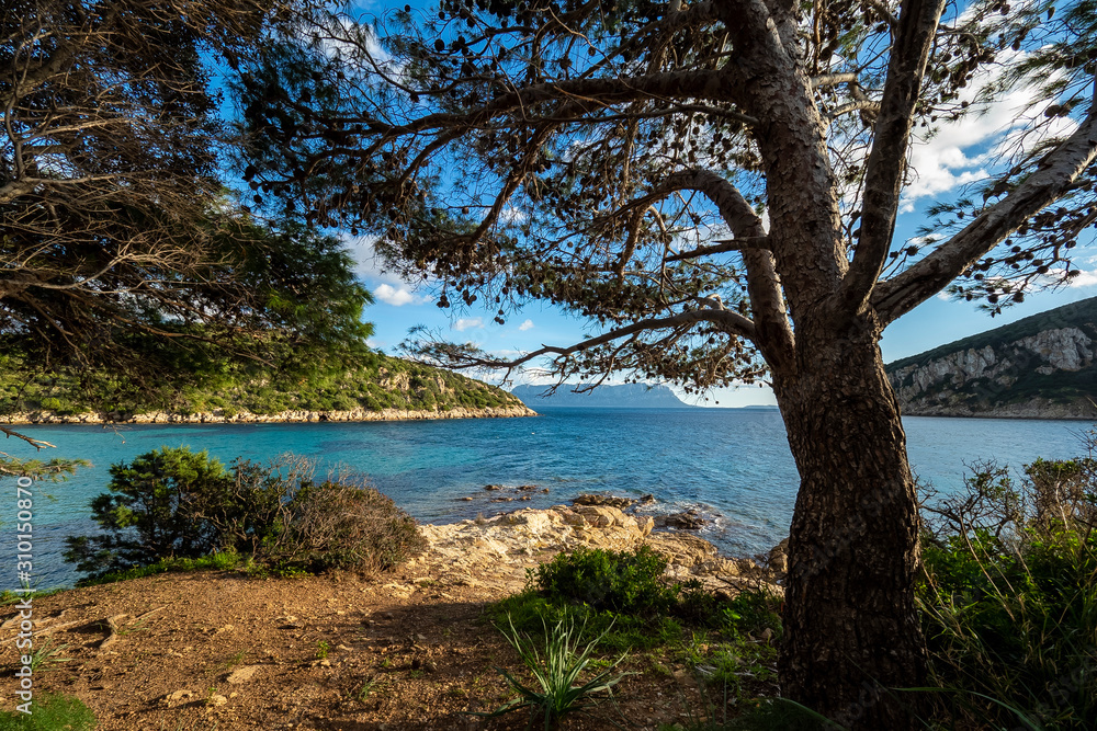 Fototapeta premium A beautiful view from Cala Moresca
