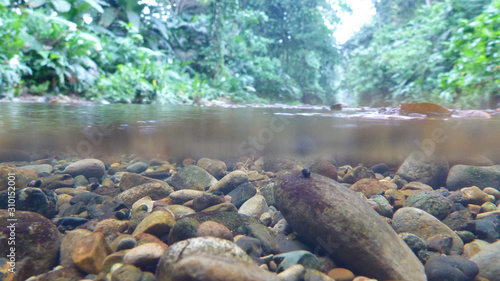 Dschungelfluss - Ecuador