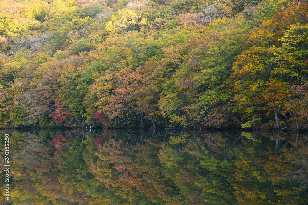 Autumn reflection from Tsuta Pond near Aomori, Tohoku region, Japan