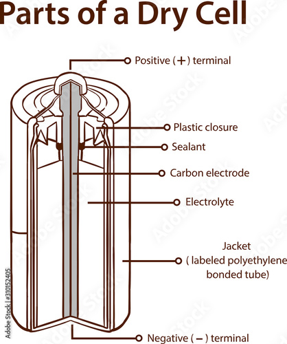 Parts of a Dry cell battery. stock illustration Battery, Inside Of, Diagram, Dry, Cross Section