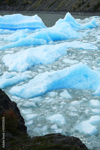 Blue ice from Glacier Grey at Patagonia Chile
