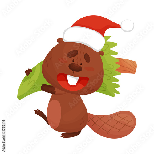 Beaver Carrying Fir Tree in His Hut Vector Illustration