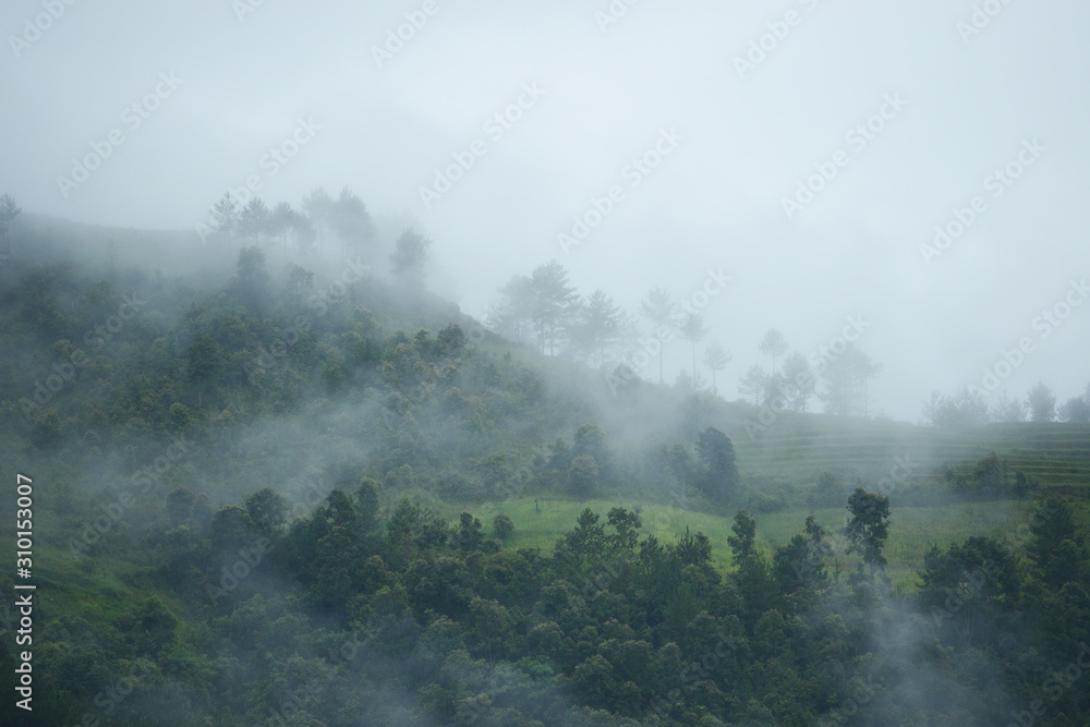 Fototapeta premium wietnam poranna mgła