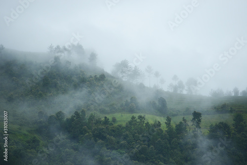 vietnam morning fog