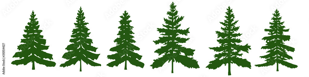 A set of silhouettes of coniferous trees