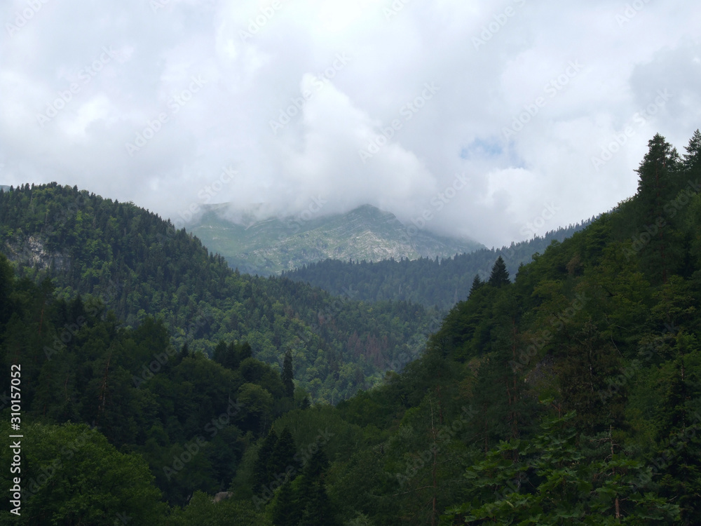 Mountainous terrain, forested densely, on a gloomy day. Mixed forest on the slopes and ridges under low cloud cover Mountainous terrain, forested densely, on a gloomy day. Mixed forest on the slopes and ridges under low cloud cover