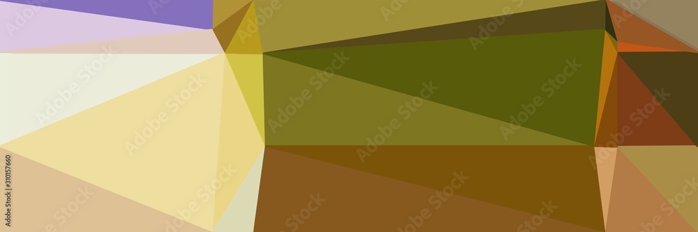 Fototapeta premium abstract horizontal colorful geometric background
