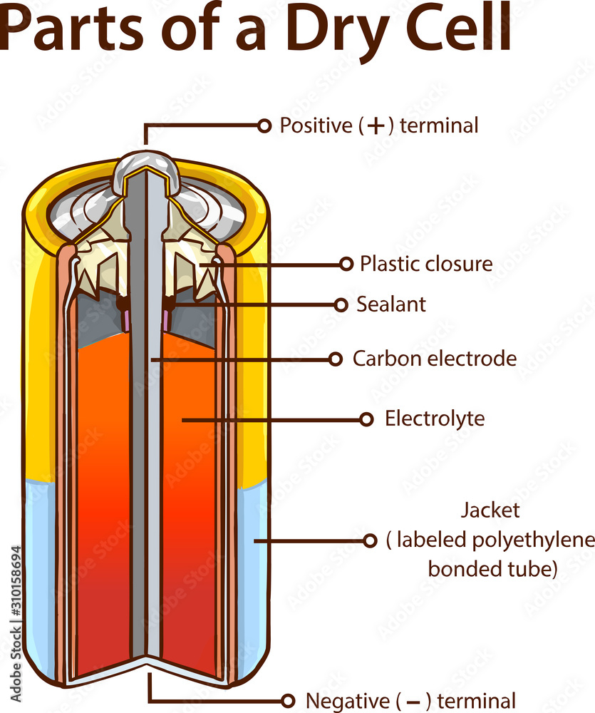 Parts of a Dry cell battery. stock illustration.Battery, Inside Of