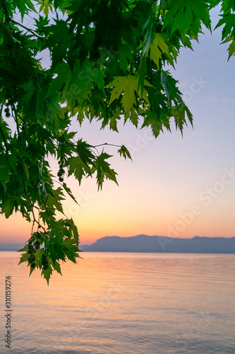 sunrise with reflection of colorful raysover lake. landscape of green leaves photo