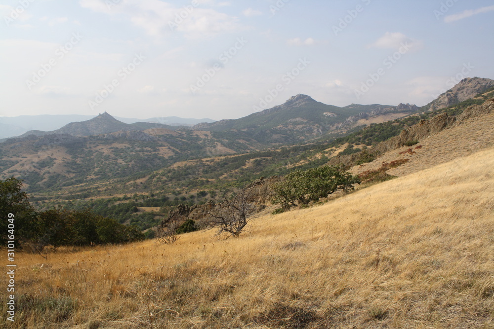Naklejka premium landscape in the mountains