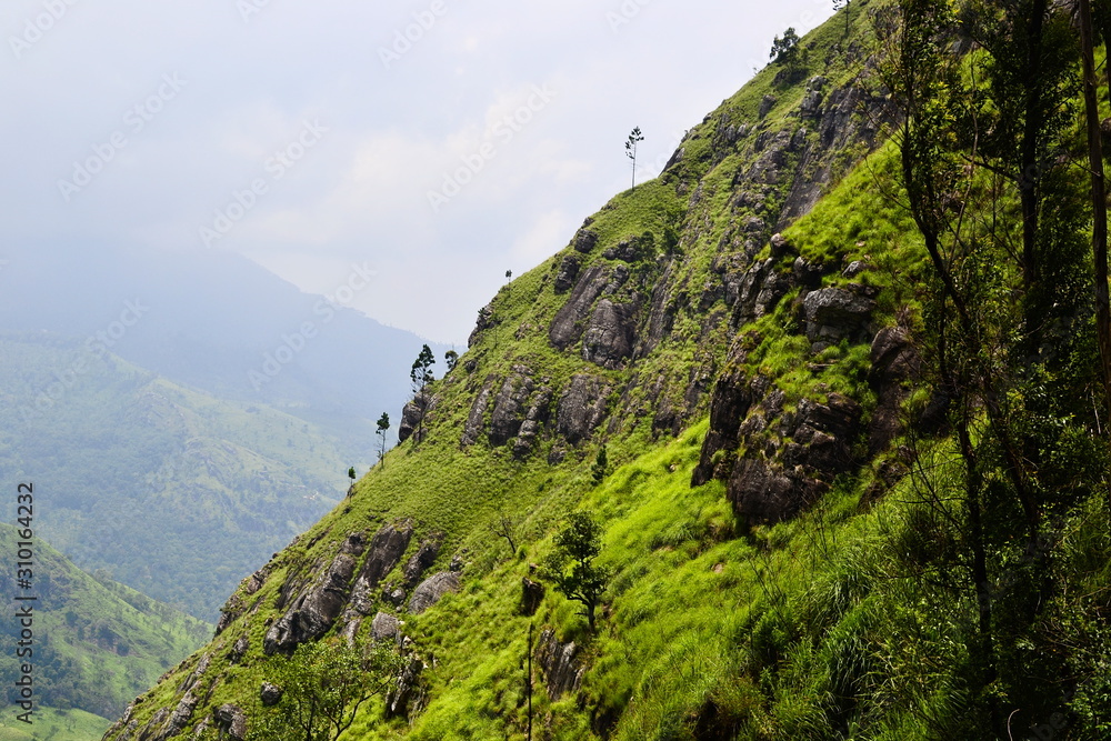Rocky mountains with bright green grass. Fresh spring colors landscape. Tropical mountains wallpaper. Ella, Sri Lanka