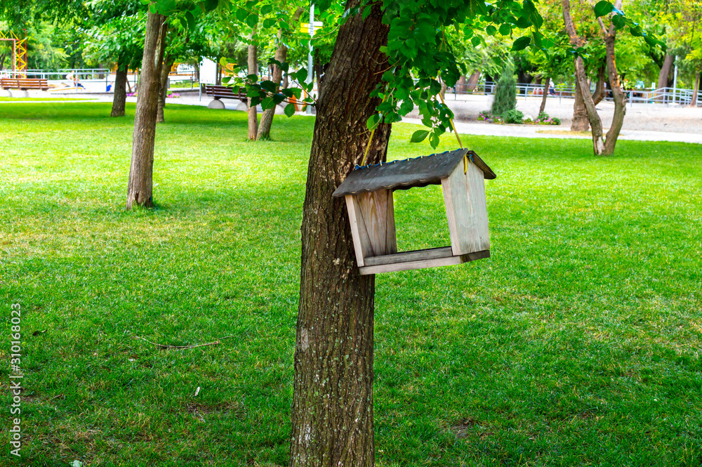 A wooden bird feeder on a tree in a spring city park. Green lawn in the background