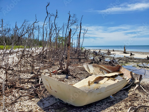 Fotografia Shipwreck, Ten Thousand Islands, Collier County, Florida