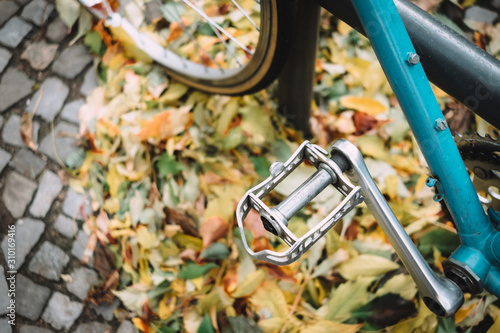 Closeup of bike pedal with autumn leaves in background