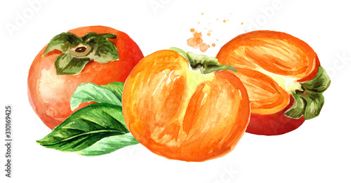Fresh ripe persimmons with green leaf. Watercolor hand drawn horizontal illustration isolated on white background