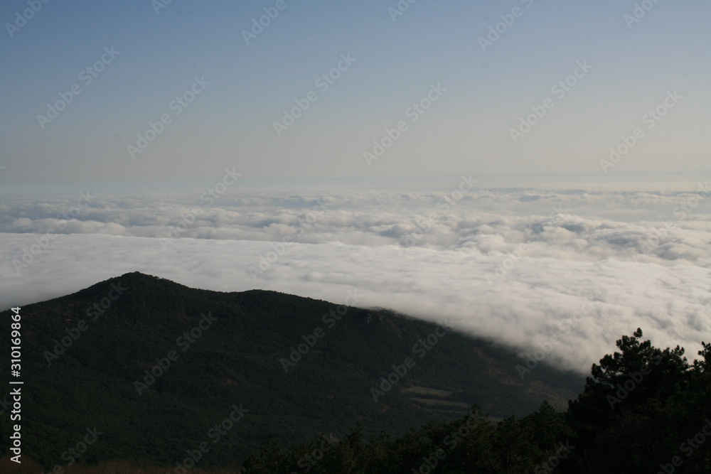 landscape with mountains and fog
