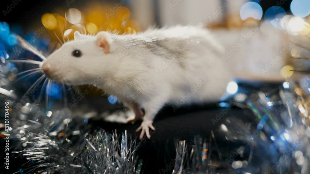 White metal rat symbol of 2020 on a background of blue garland Stock