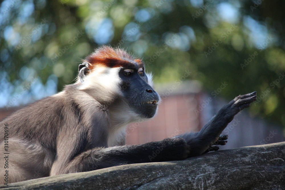 Obraz premium Just had my nails done