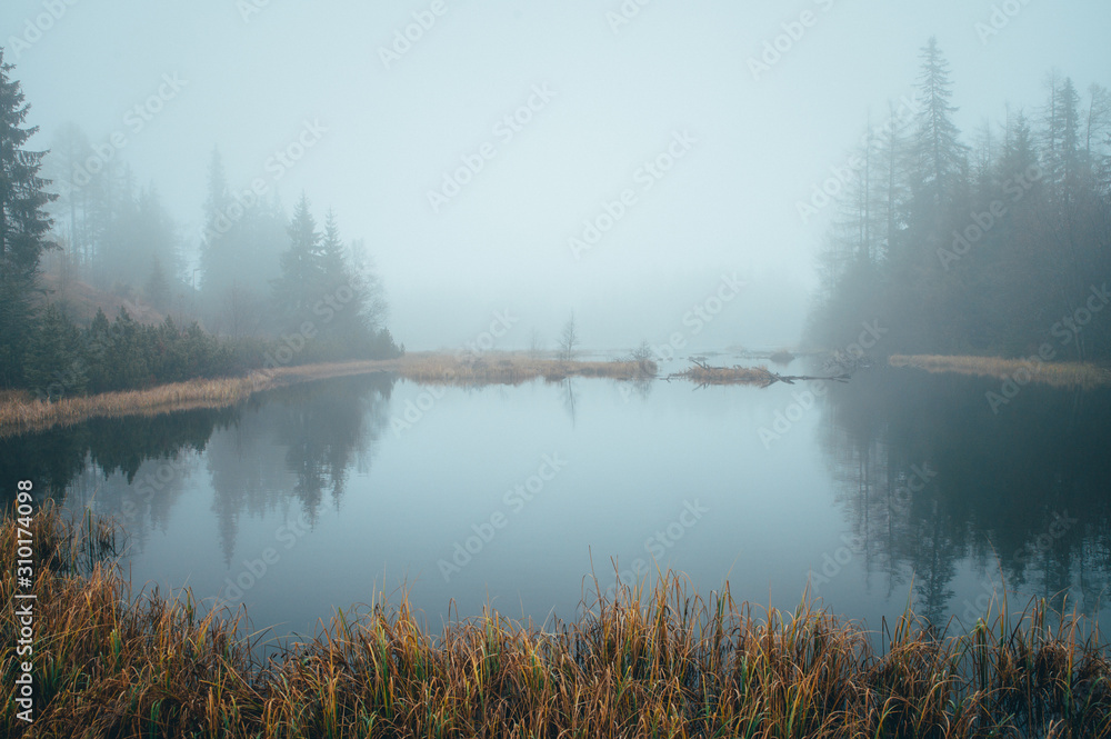 Fototapeta premium Misty morning by autumn lake, peaceful scenery, white edit space.