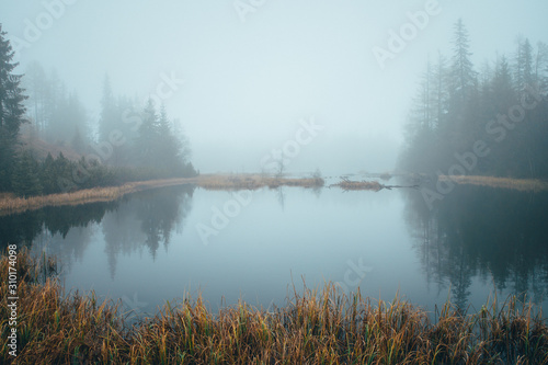 Fototapeta Naklejka Na Ścianę i Meble -  Misty morning by autumn lake, peaceful scenery, white edit space.