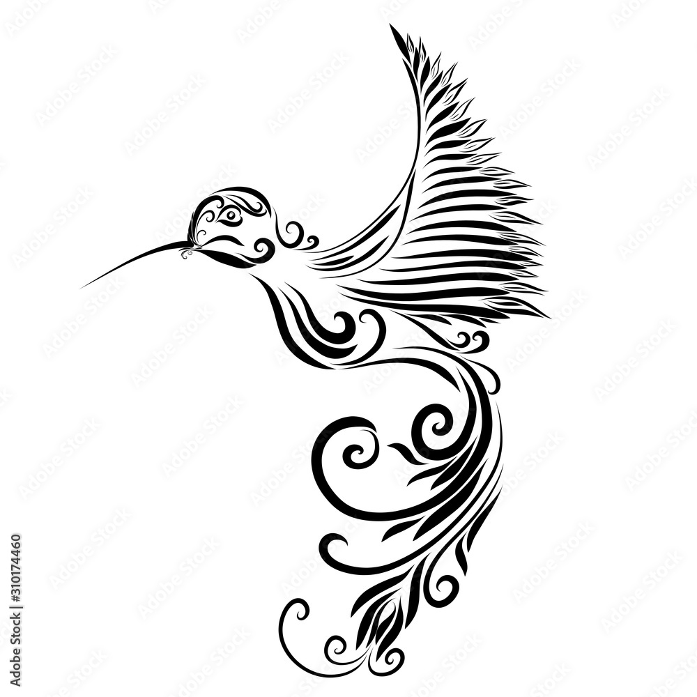 Fototapeta premium flying hummingbird with tail like flower, black pattern