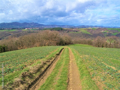 Sentier creusé sous un ciel plombé