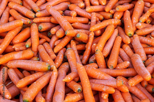 Pile of carrots close up.