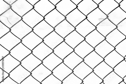 Net compound wall of garden