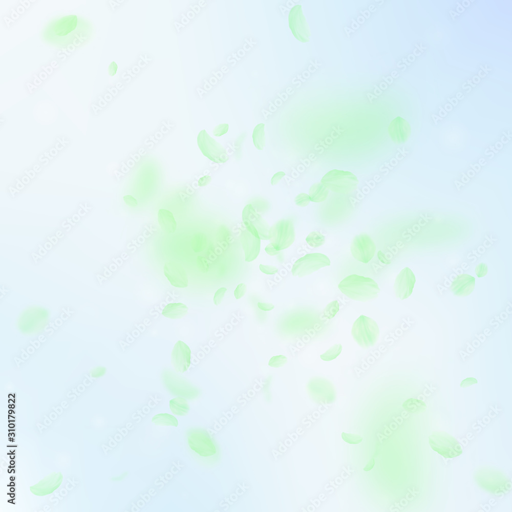 Green flower petals falling down. Ideal romantic f Green flower petals falling down. Ideal romantic f