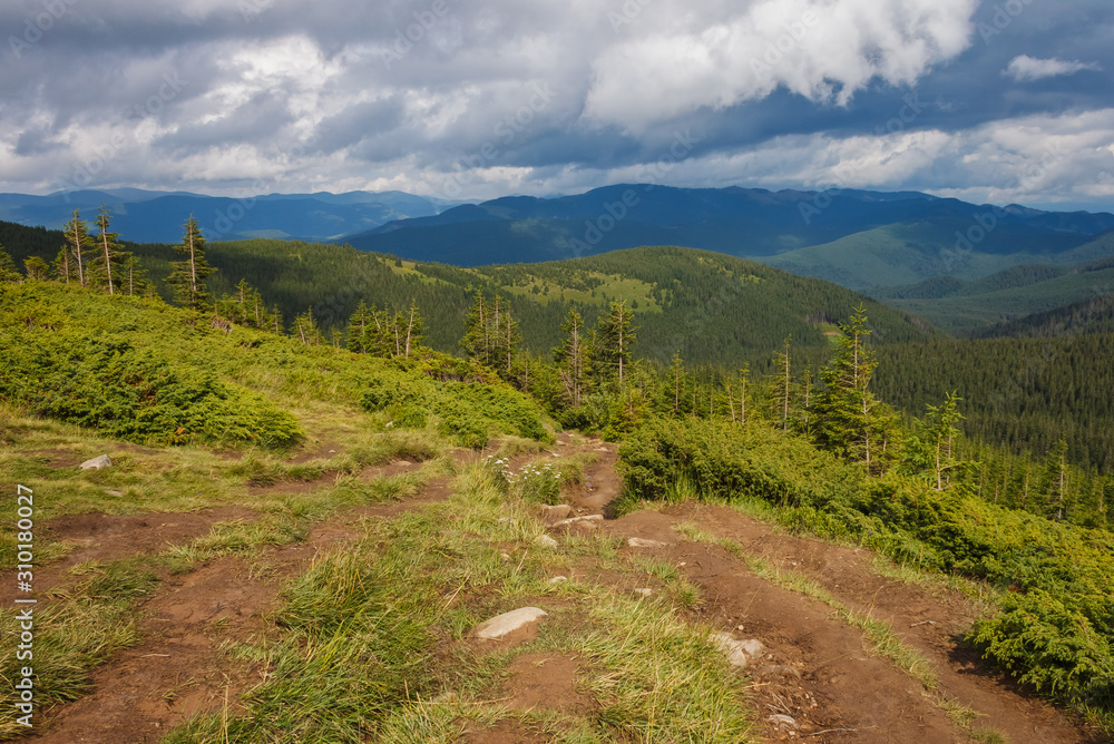 Naklejka premium Mountain landscape. Mountain trails and forest after rain.